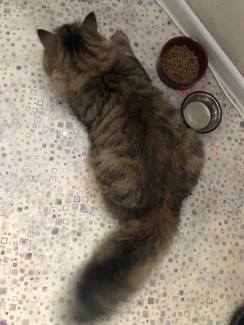 ��������� ��� ��� �����.