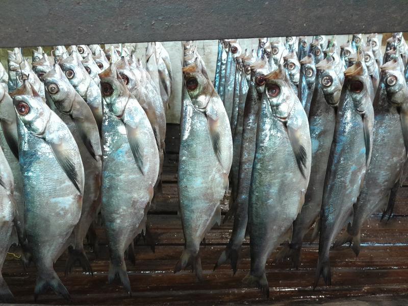 ������� �����