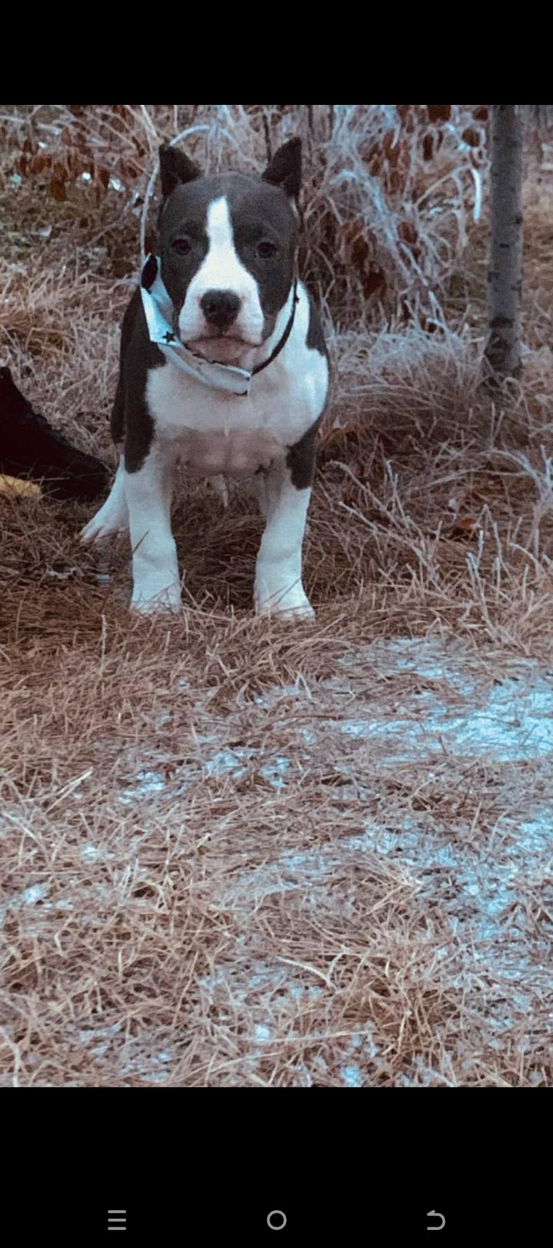 ������� ������� � ����������� ���