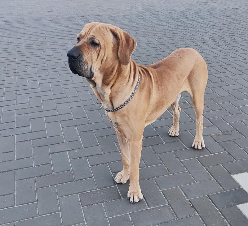 ������ ���� ���������� �����