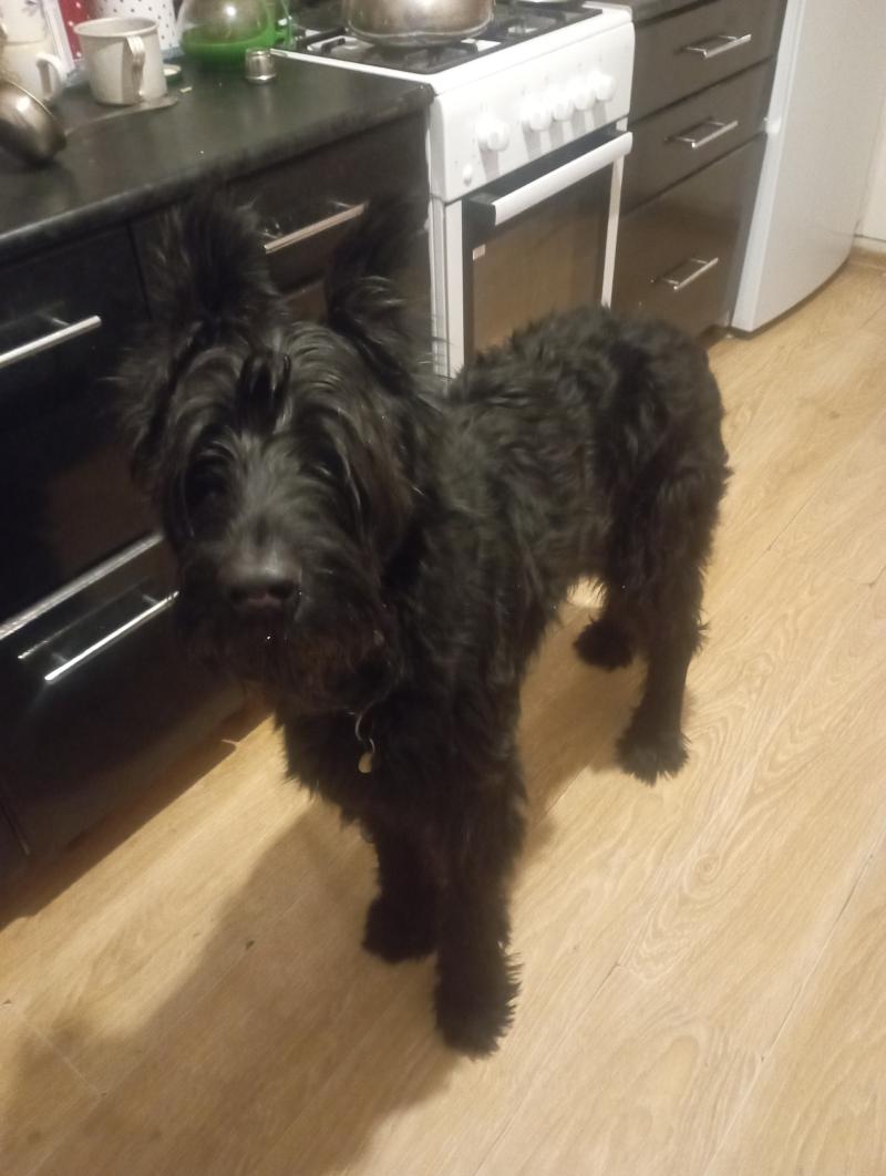 ��� ������ �������