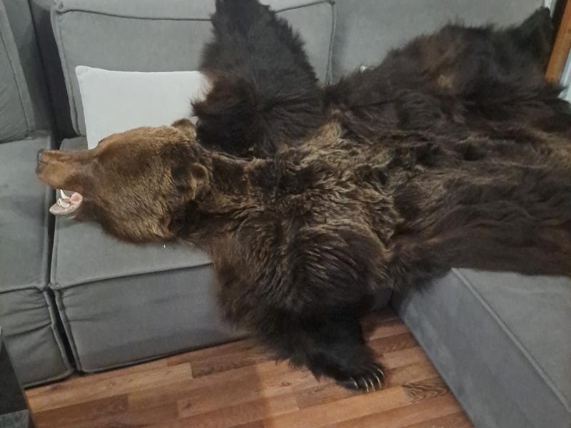 ����� �������