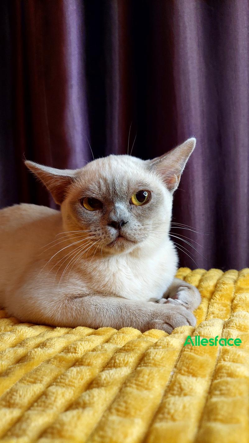 ���������� ������